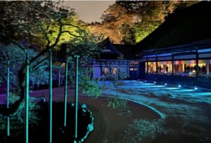 NAKED松島・国宝瑞巌寺「秋の夜間参拝」